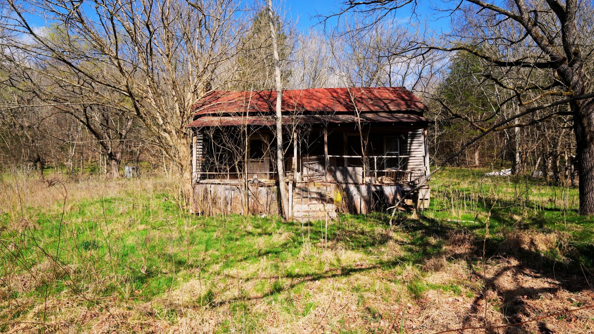 126 Carpenter Road Dellrose, TN 38453 - Photo 11 of 12 a view of a patio with table and chairs under an umbrella with large trees