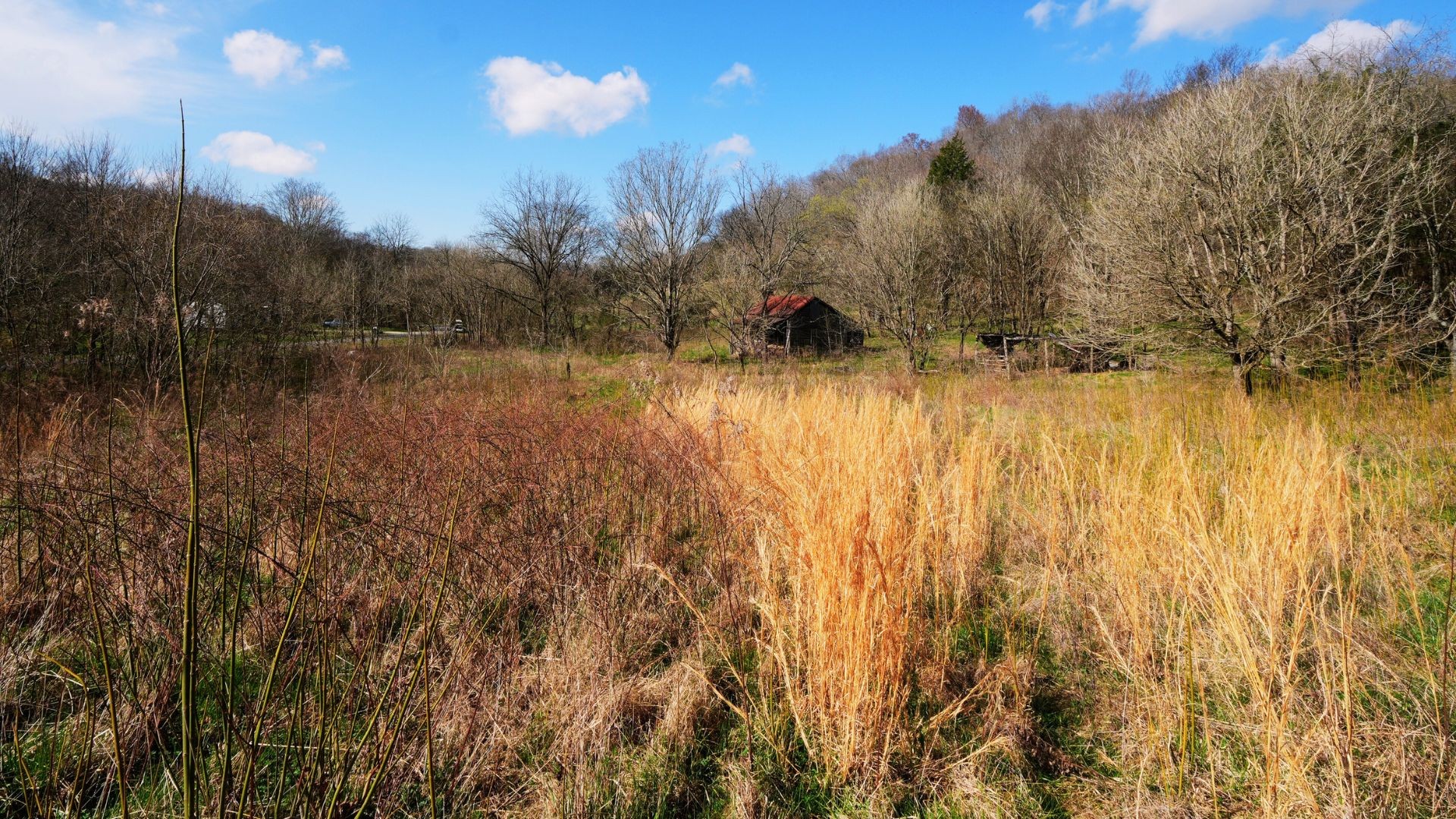 126 Carpenter Road Dellrose, TN 38453 - Photo 12 of 12 a view of swimming pool and lake view