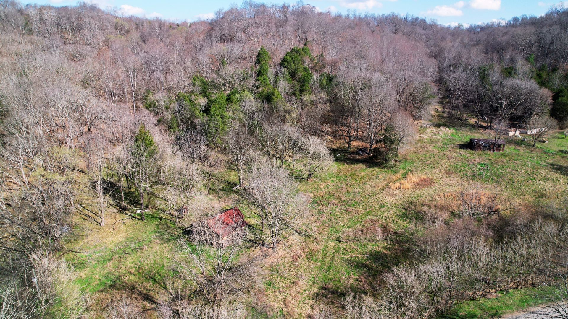 126 Carpenter Road Dellrose, TN 38453 - Photo 7 of 12 a view of a lush green field