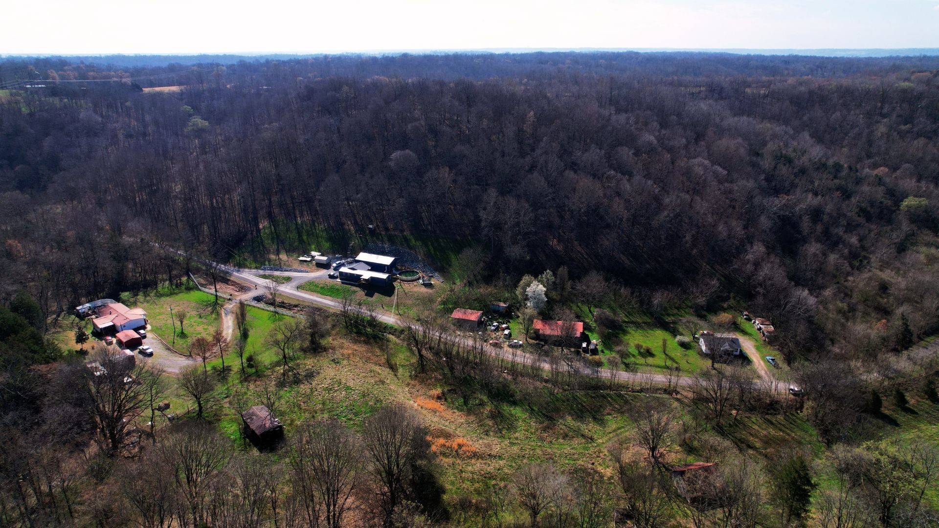 126 Carpenter Road Dellrose, TN 38453 - Photo 9 of 12 a view of a yard with plants