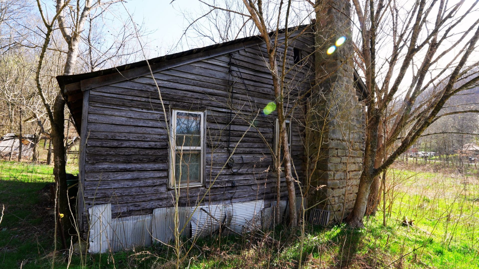 126 Carpenter Road Dellrose, TN 38453 - Photo 10 of 12 a view of a house with a tree
