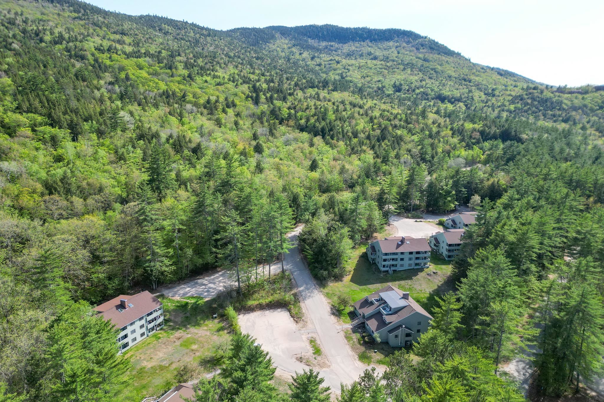 14 E Seasons At Attitash Road, Unit E Bartlett, NH 03860 - Photo 33 of 34