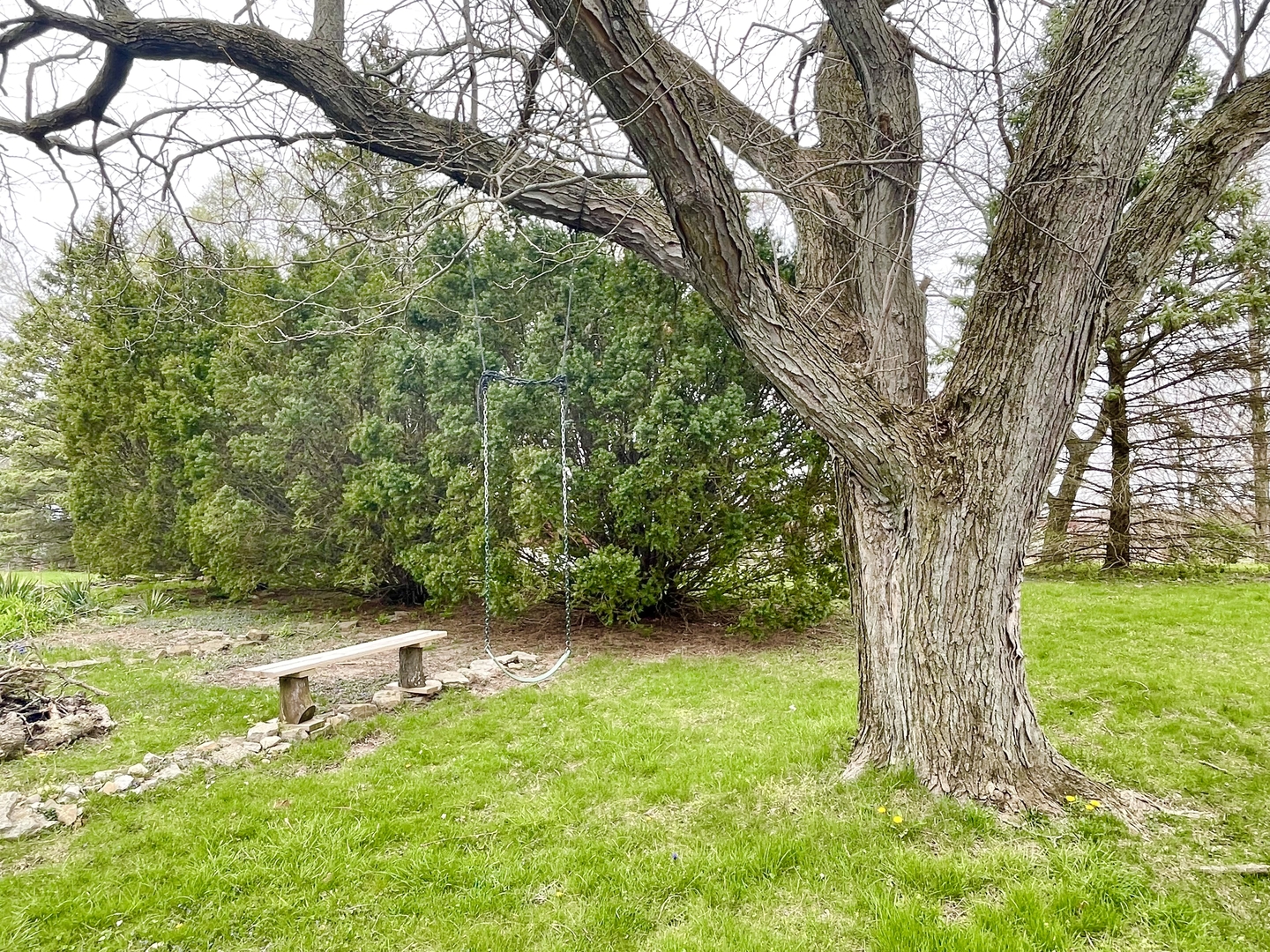 505 North St Paul Street Mark, IL 61326 - Photo 20 of 24 a view of a yard with plants and large trees