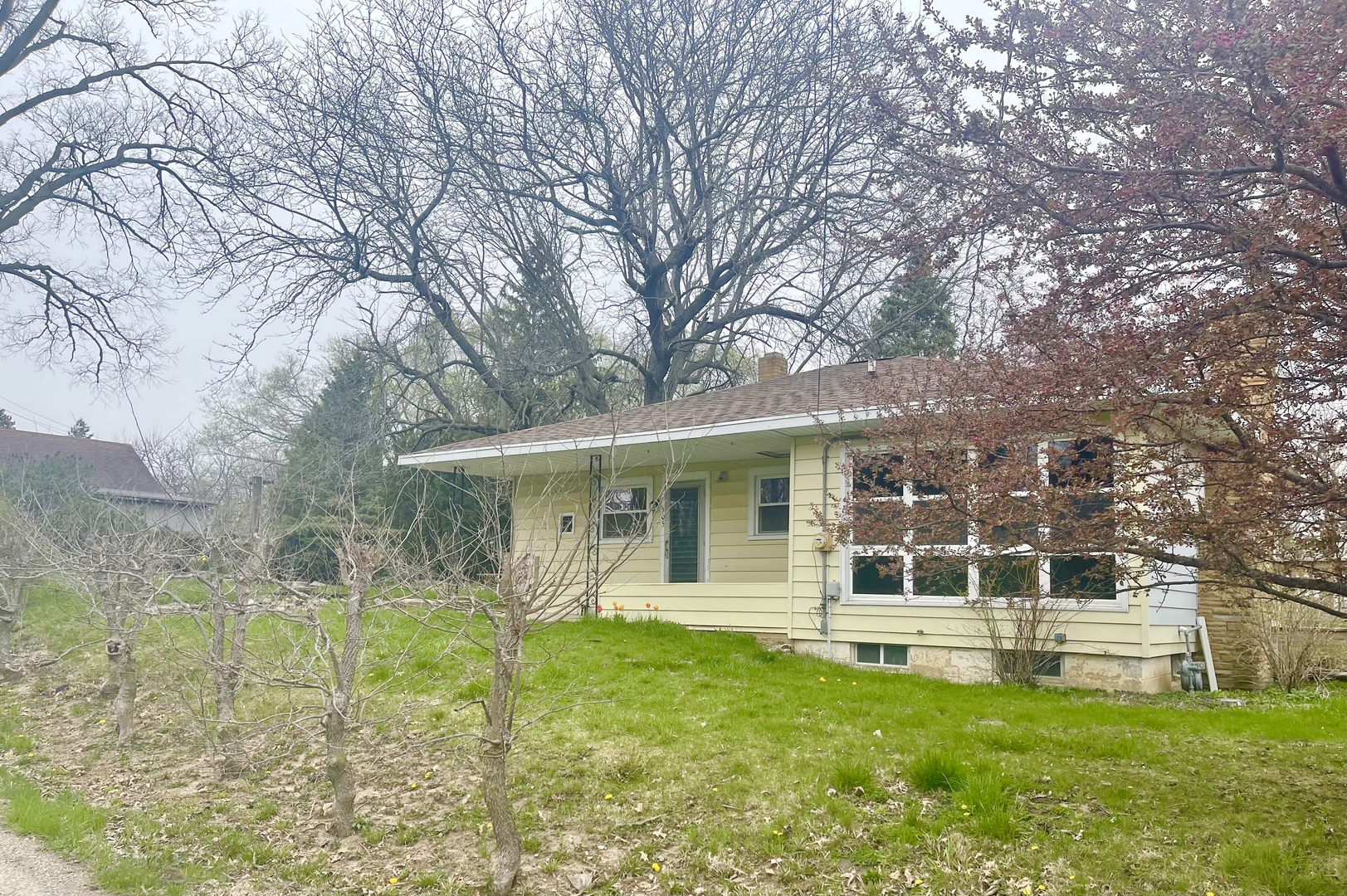 505 North St Paul Street Mark, IL 61326 - Photo 4 of 24 a view of house with yard