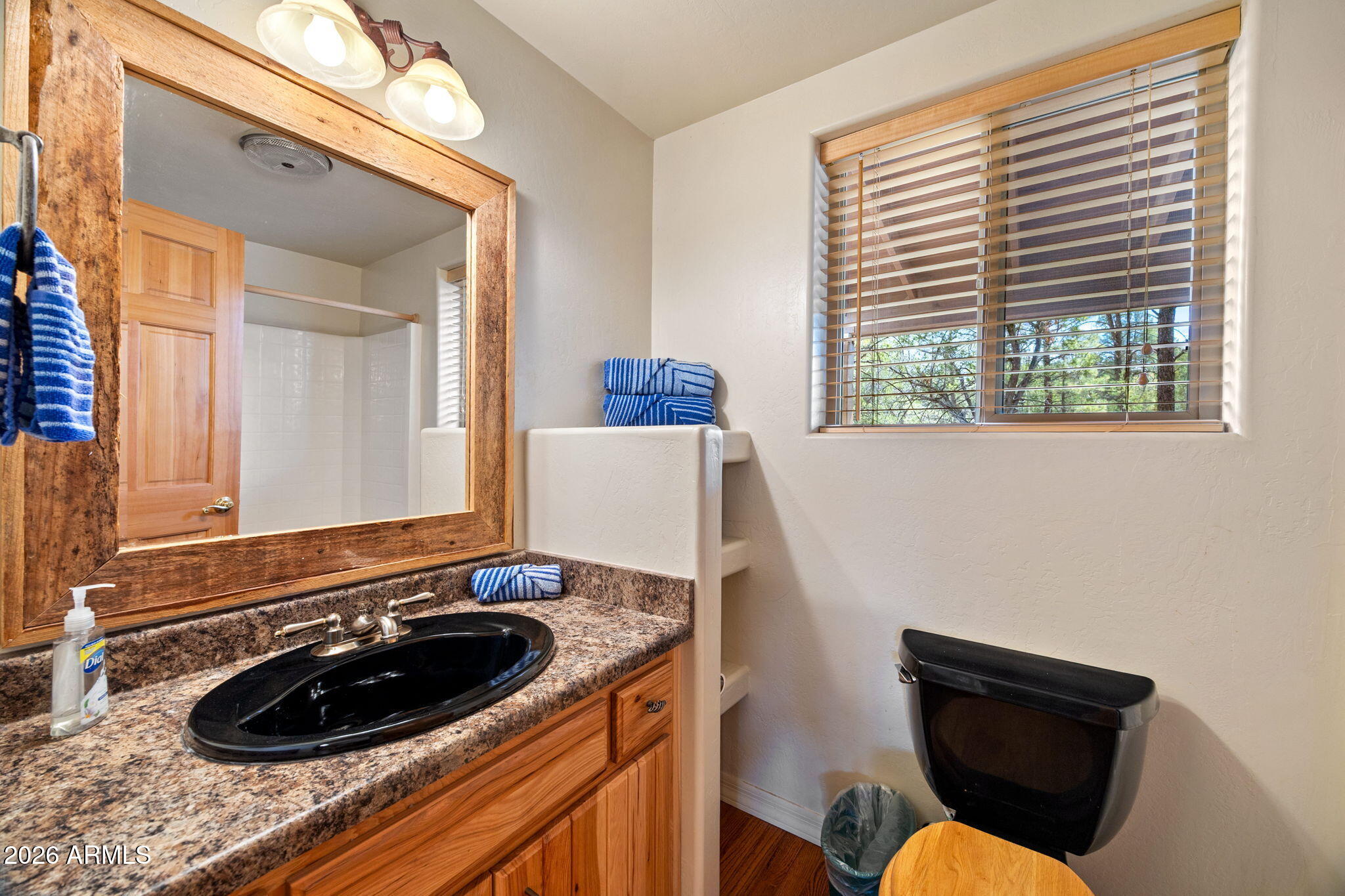 3166 Chevelon Road Overgaard, AZ 85933 - Photo 15 of 41 OWNERS BATHROOM