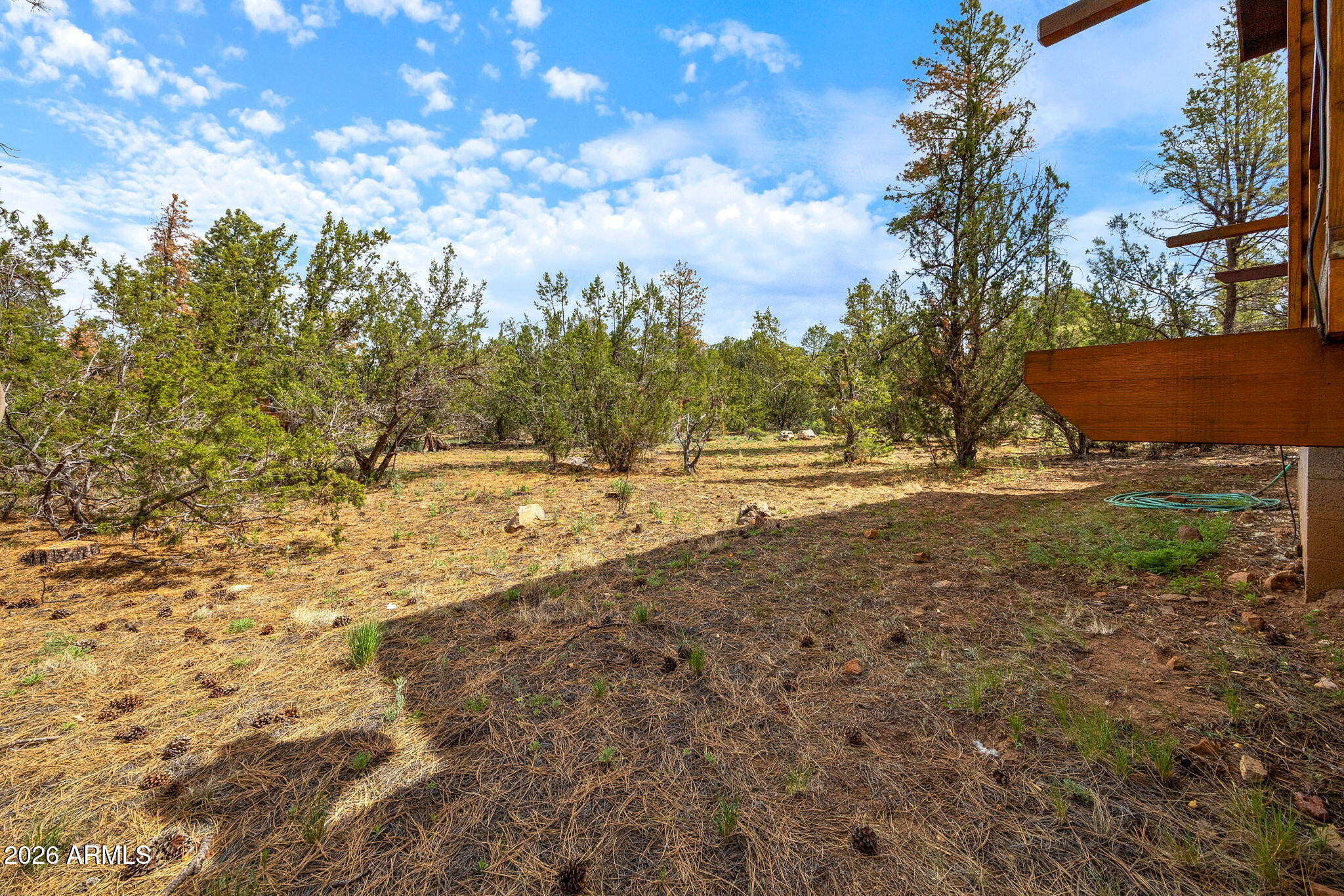 3166 Chevelon Road Overgaard, AZ 85933 - Photo 30 of 41 2 ACRE LOT