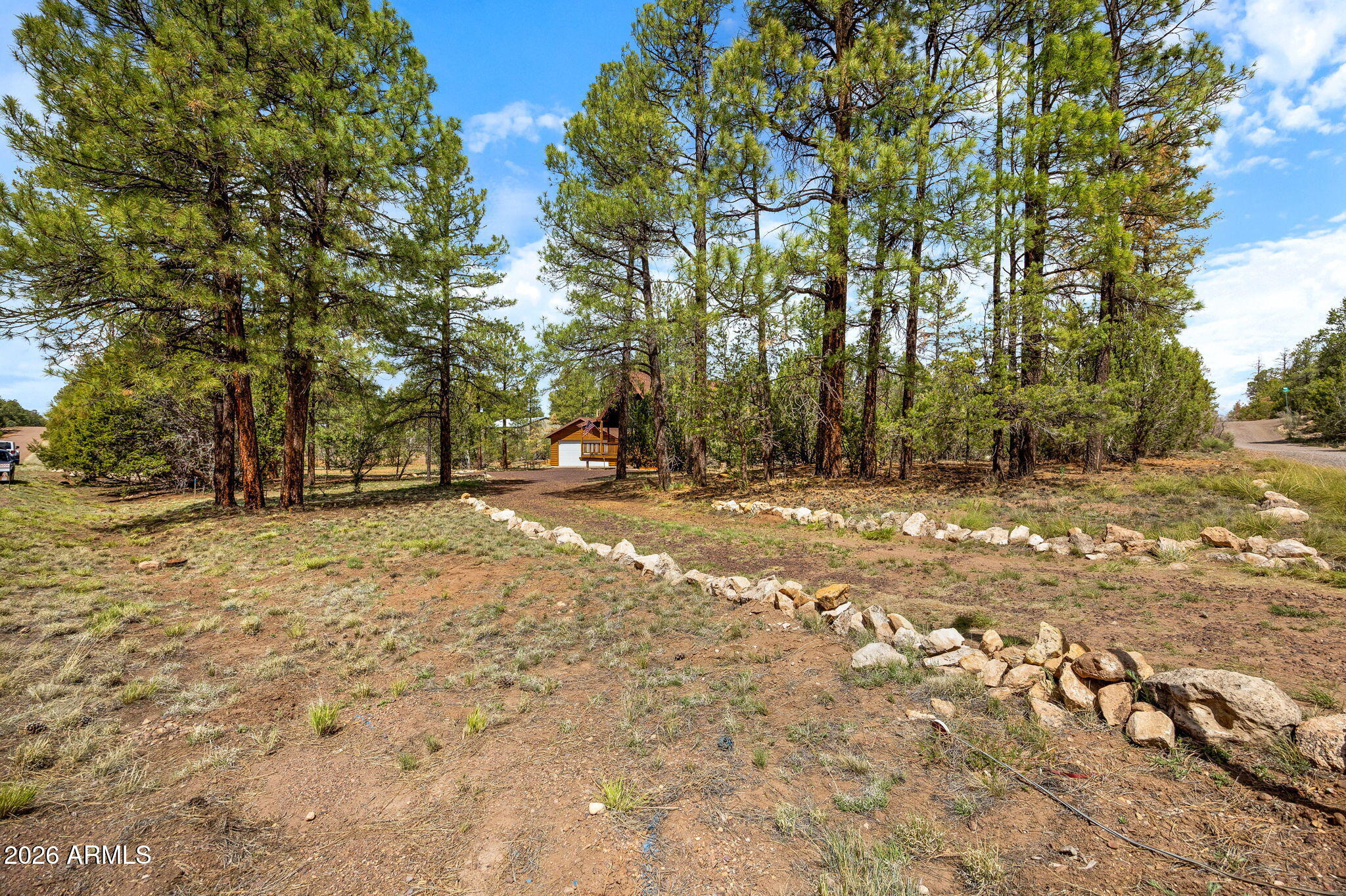 3166 Chevelon Road Overgaard, AZ 85933 - Photo 32 of 41 LOTS OF MATURE TREES