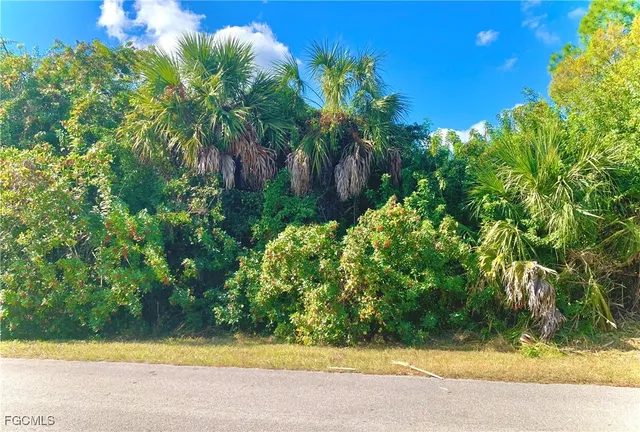 a view of a yard with plants