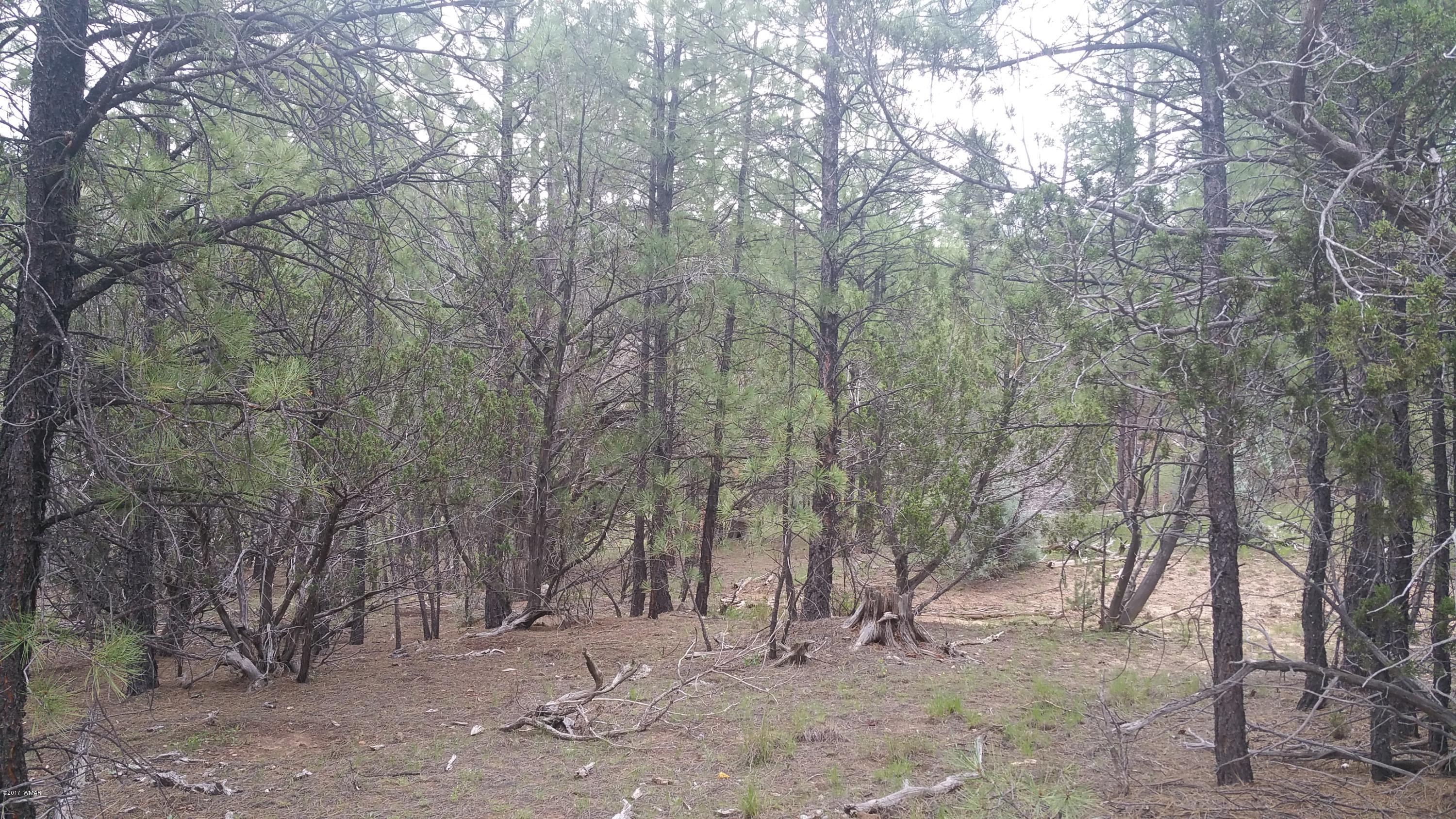 1939 North South Pine Road Heber, AZ 85928 - Photo 2 of 5