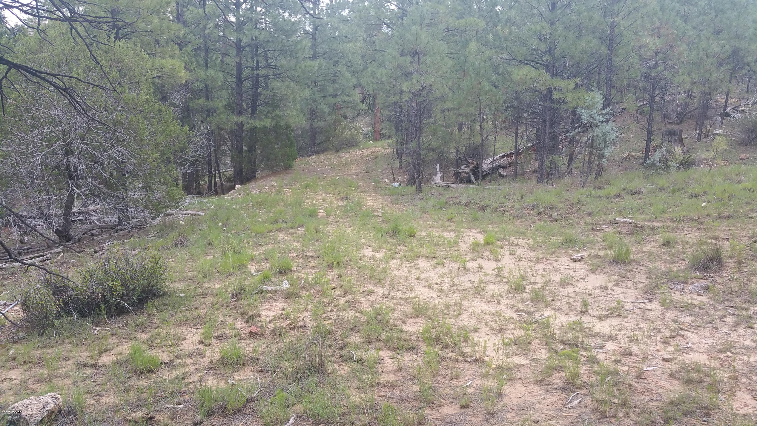 1939 North South Pine Road Heber, AZ 85928 - Photo 3 of 5