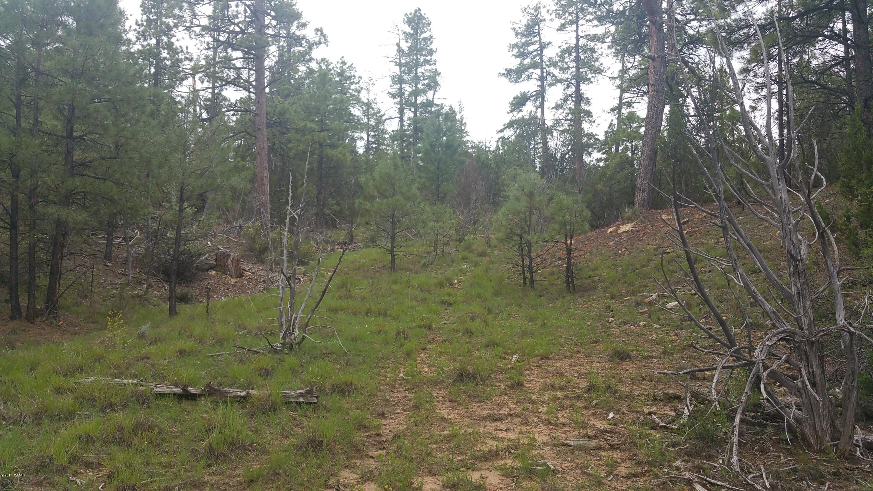 1939 North South Pine Road Heber, AZ 85928 - Photo 4 of 5