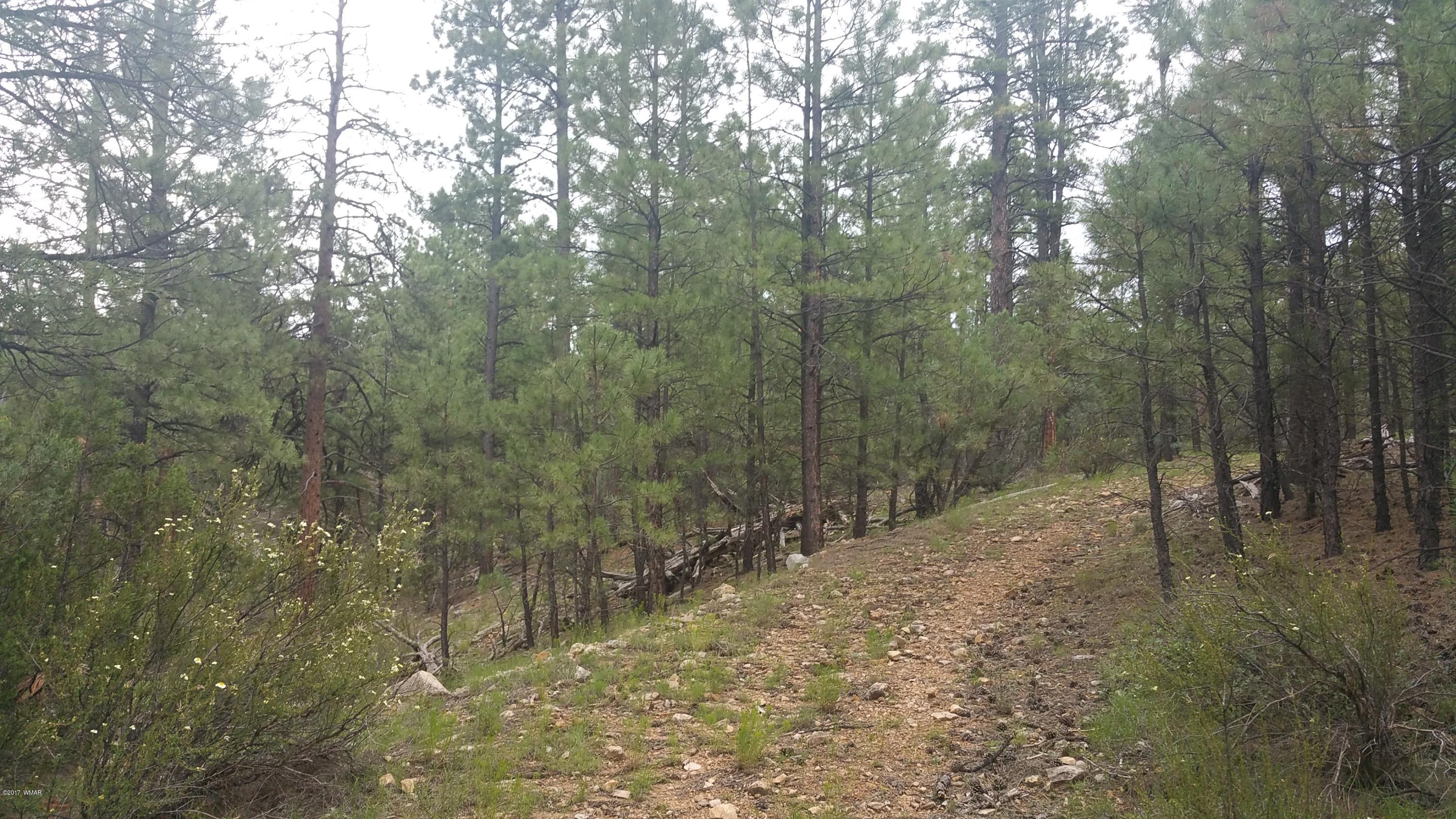 1939 North South Pine Road Heber, AZ 85928 - Photo 5 of 5