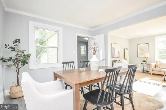 a view of a dining room with furniture and a potted plant
