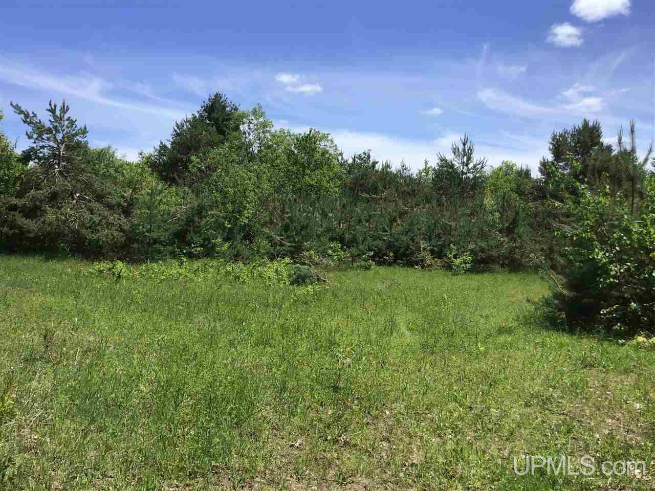 Tbd Co Rd 496 (b) Road, Unit PARCEL B Champion, MI 49814 - Photo 6 of 33