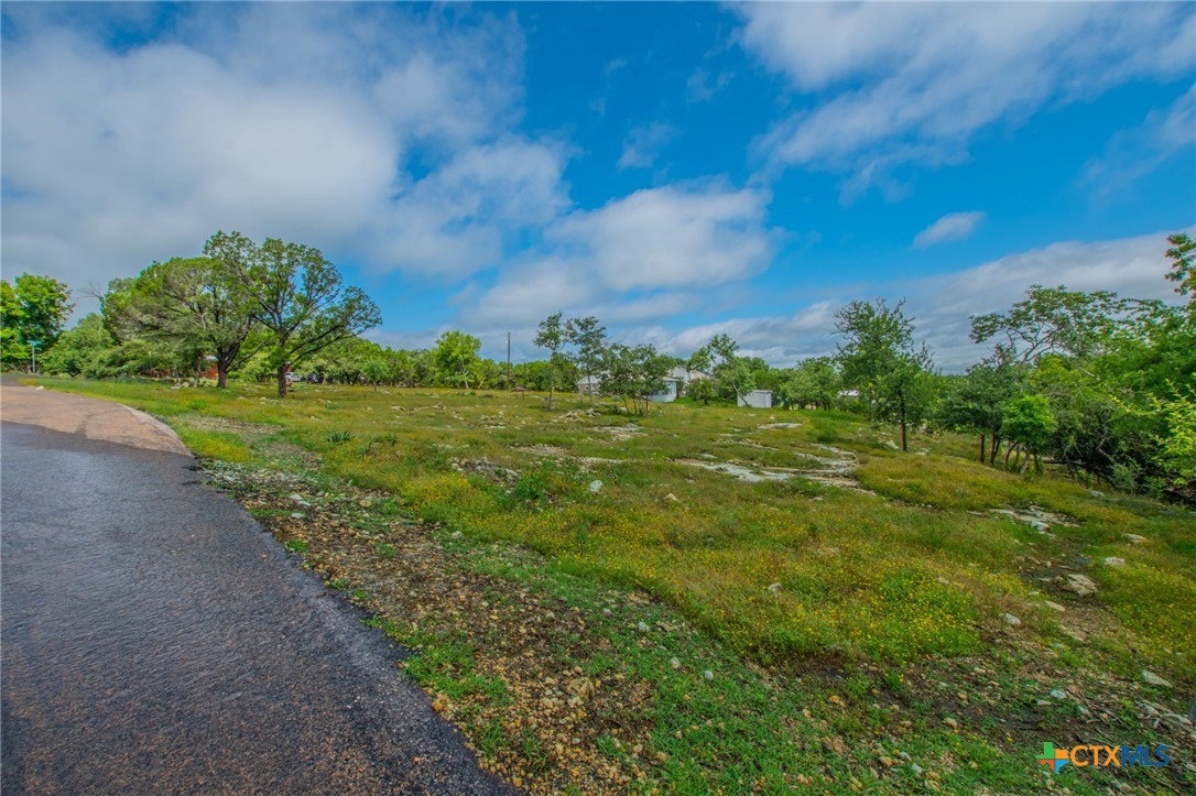2249 Prickley Pear Road Belton, TX 76513 - Photo 11 of 16