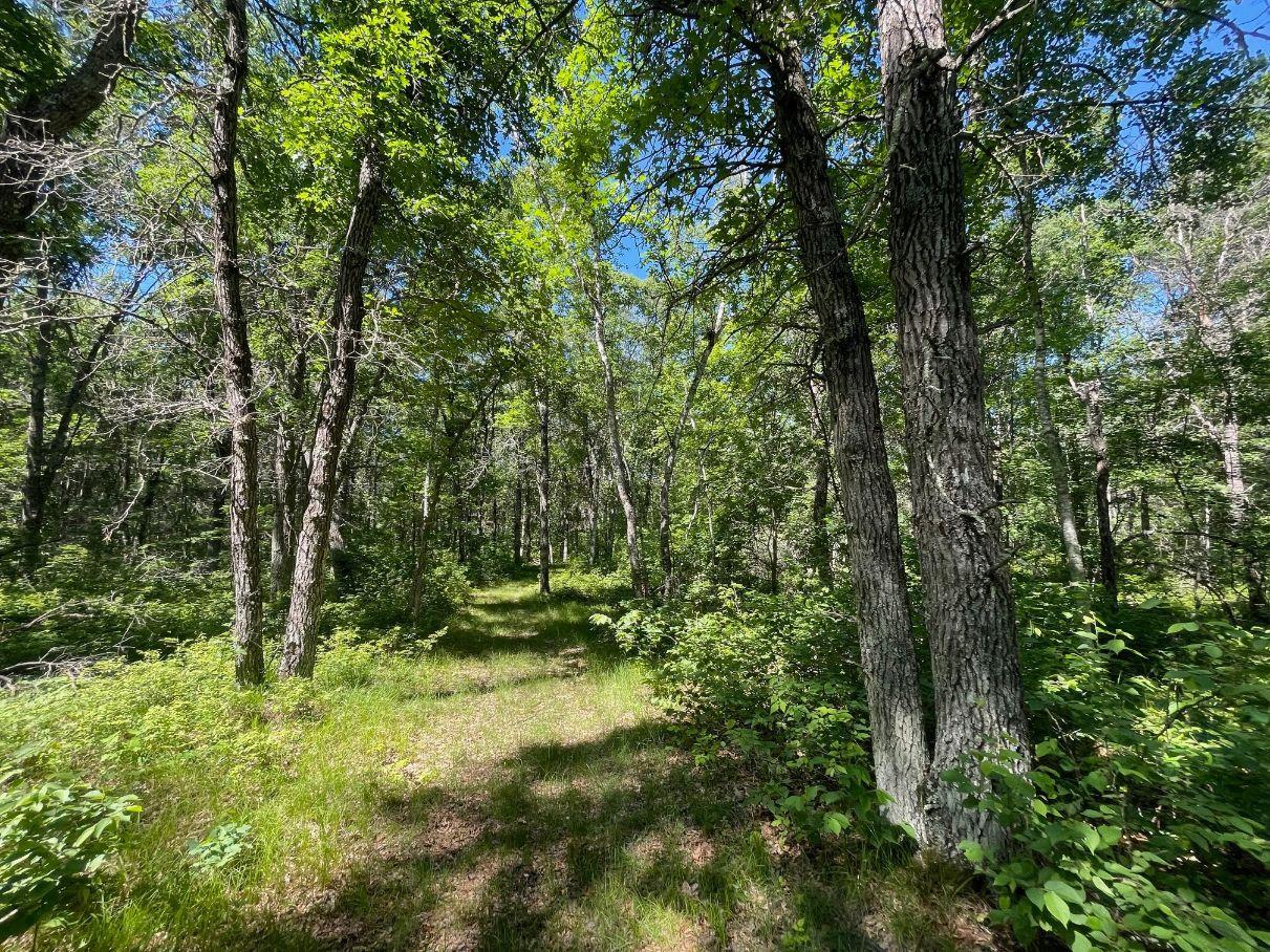 12997 East Mail Road Gordon, WI 54838 - Photo 53 of 65