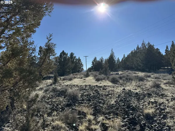 a view of a field