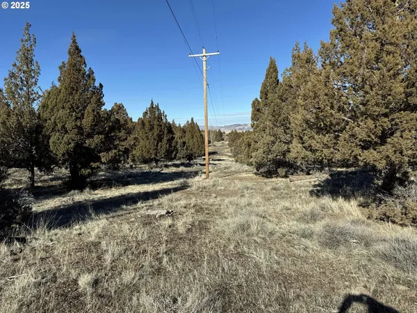 a view of a backyard of the house