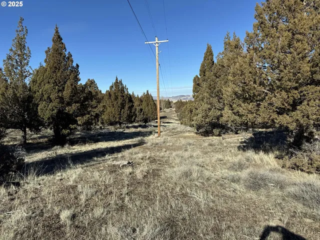 a view of a backyard of the house