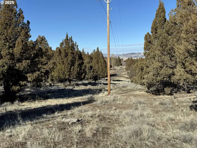a view of a yard with wooden fence