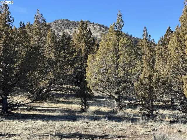 a view of a water with a building in the background
