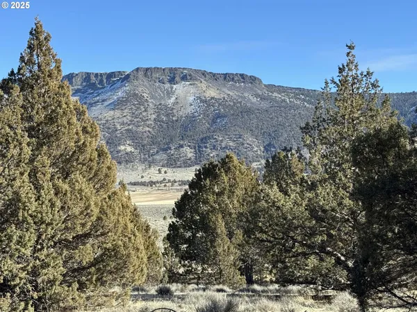 a view of a dry yard with mountains in the background