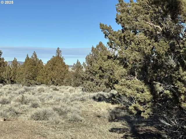 a view of a dry field with mountains in the background