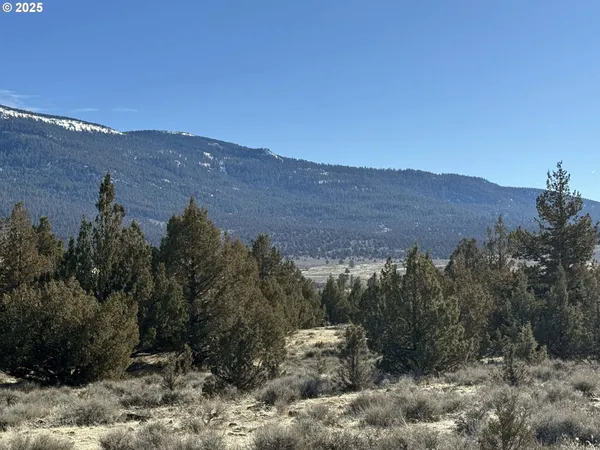 a view of a dry field with mountains in the background