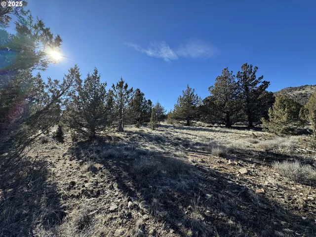 a view of mountain view with trees