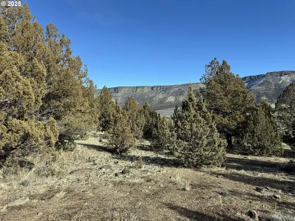 a view of a yard with a tree in the background