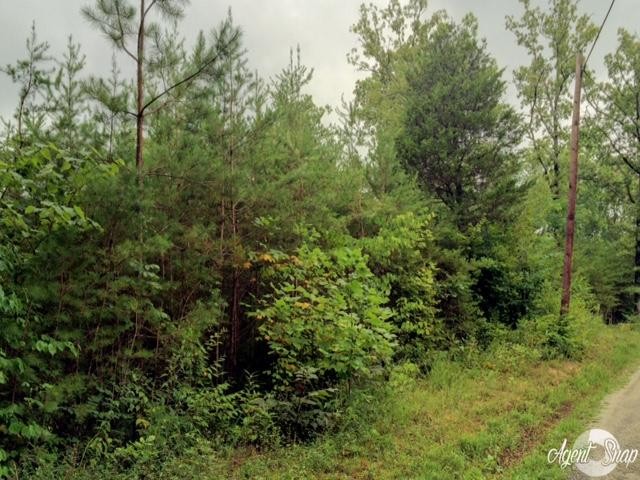 169 Welch Road Tellico Plains, TN 37385 - Photo 1 of 6