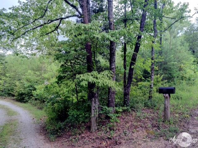 169 Welch Road Tellico Plains, TN 37385 - Photo 2 of 6