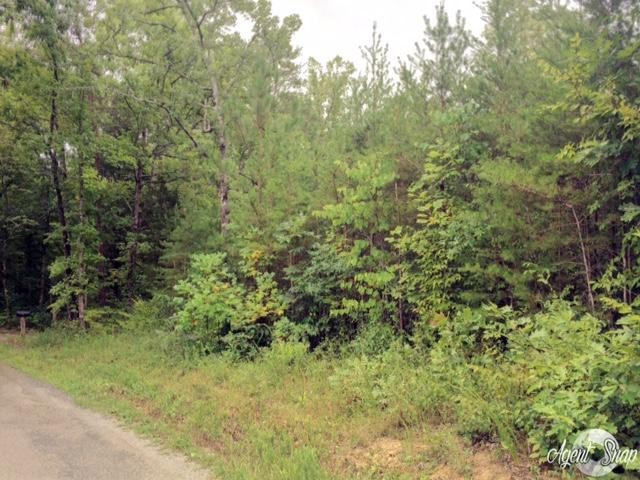 169 Welch Road Tellico Plains, TN 37385 - Photo 3 of 6