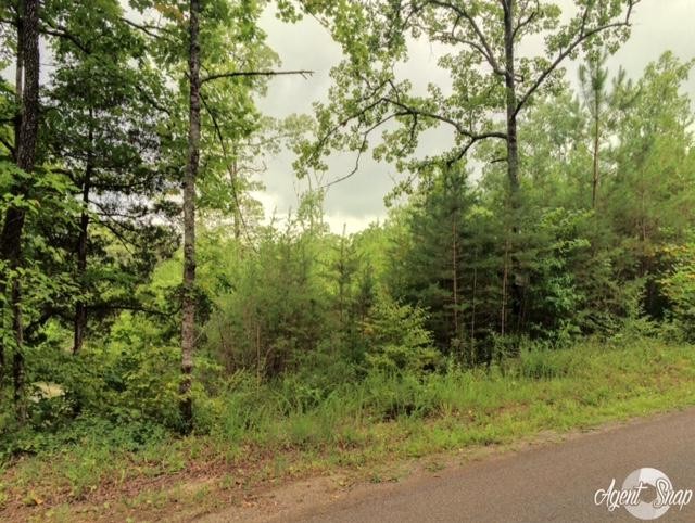 169 Welch Road Tellico Plains, TN 37385 - Photo 4 of 6