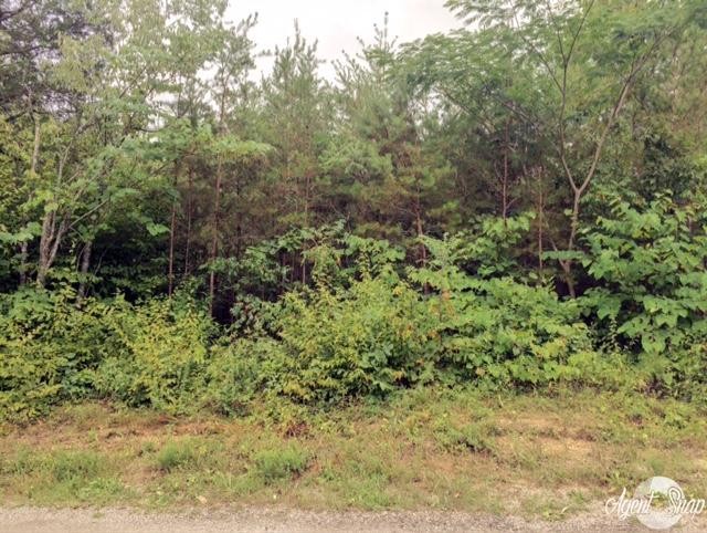 169 Welch Road Tellico Plains, TN 37385 - Photo 6 of 6