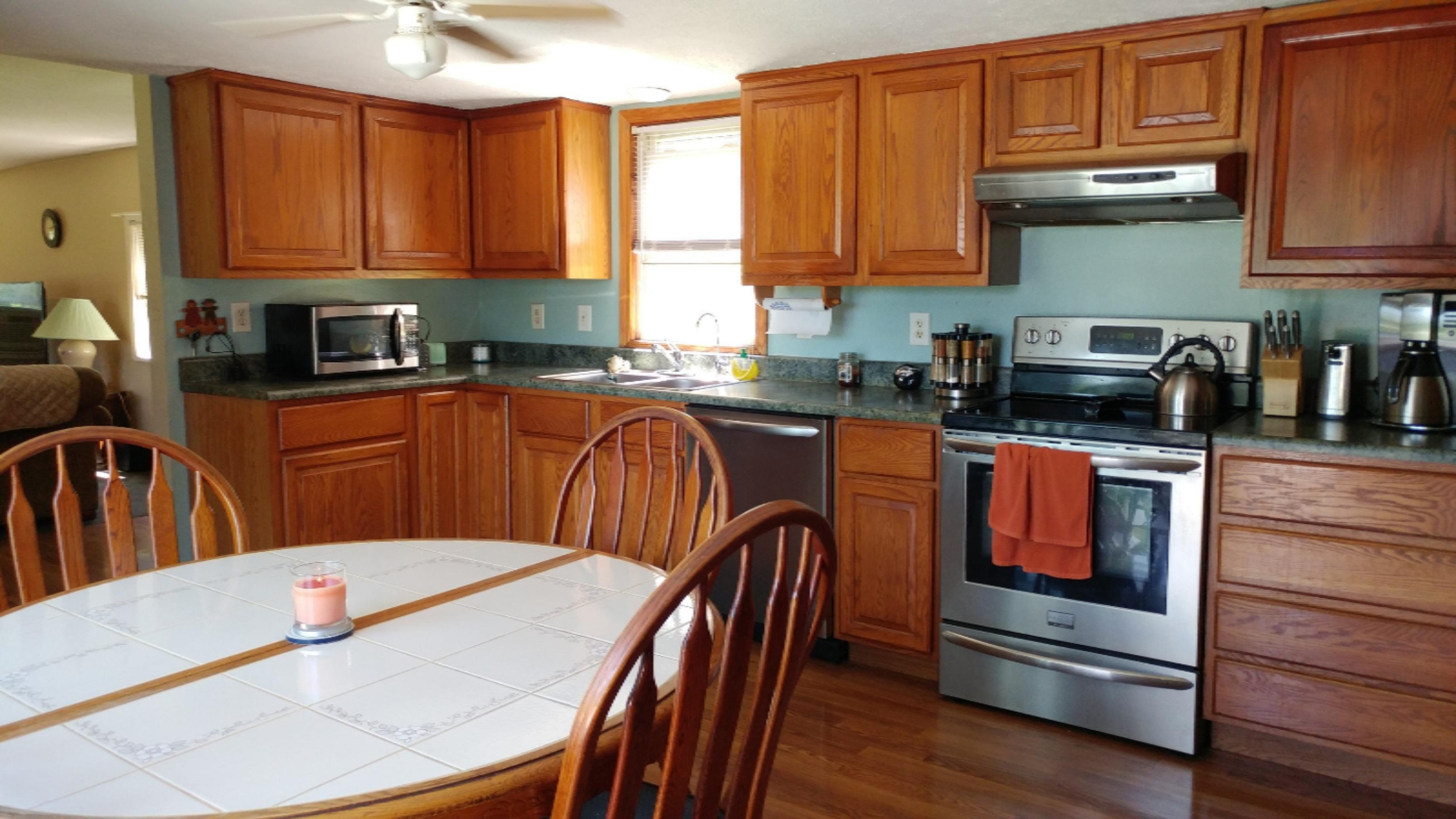 8802 Peck Lake Road Saranac, MI 48881 - Photo 2 of 15 20190803_142419_Burst01