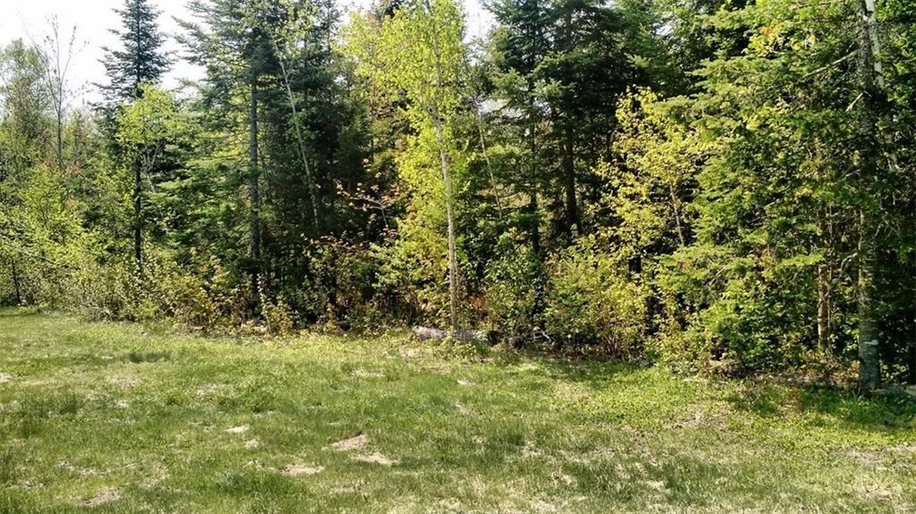 Lot 96 Off Brown Road Carroll Plt, ME 04487 - Photo 6 of 9 Photo