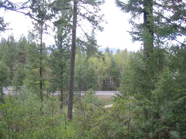 0 South Marshall Road Valleyford, WA 99036 - Photo 1 of 6