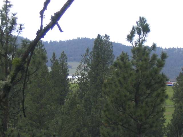 0 South Marshall Road Valleyford, WA 99036 - Photo 2 of 6