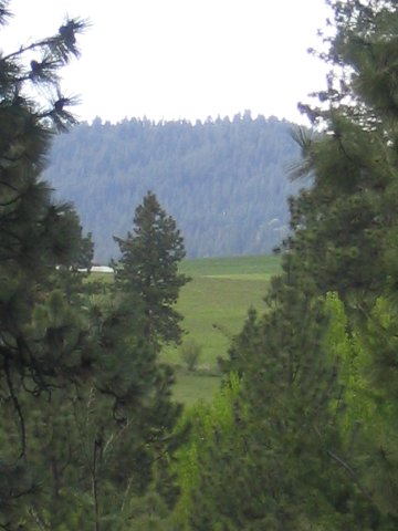 0 South Marshall Road Valleyford, WA 99036 - Photo 4 of 6