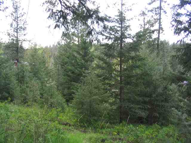 0 South Marshall Road Valleyford, WA 99036 - Photo 5 of 6