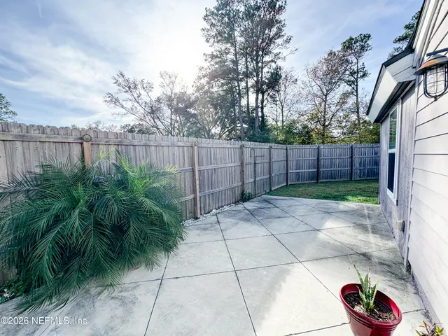 a view of a backyard with plants and trees