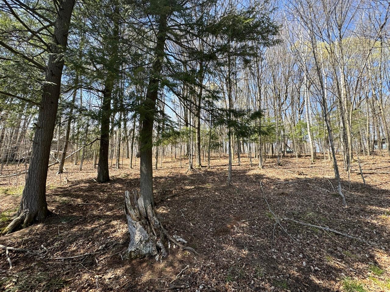 Lot 1 Black Forest Road Presque Isle, WI 54557 - Photo 5 of 18 Gallery Image 5