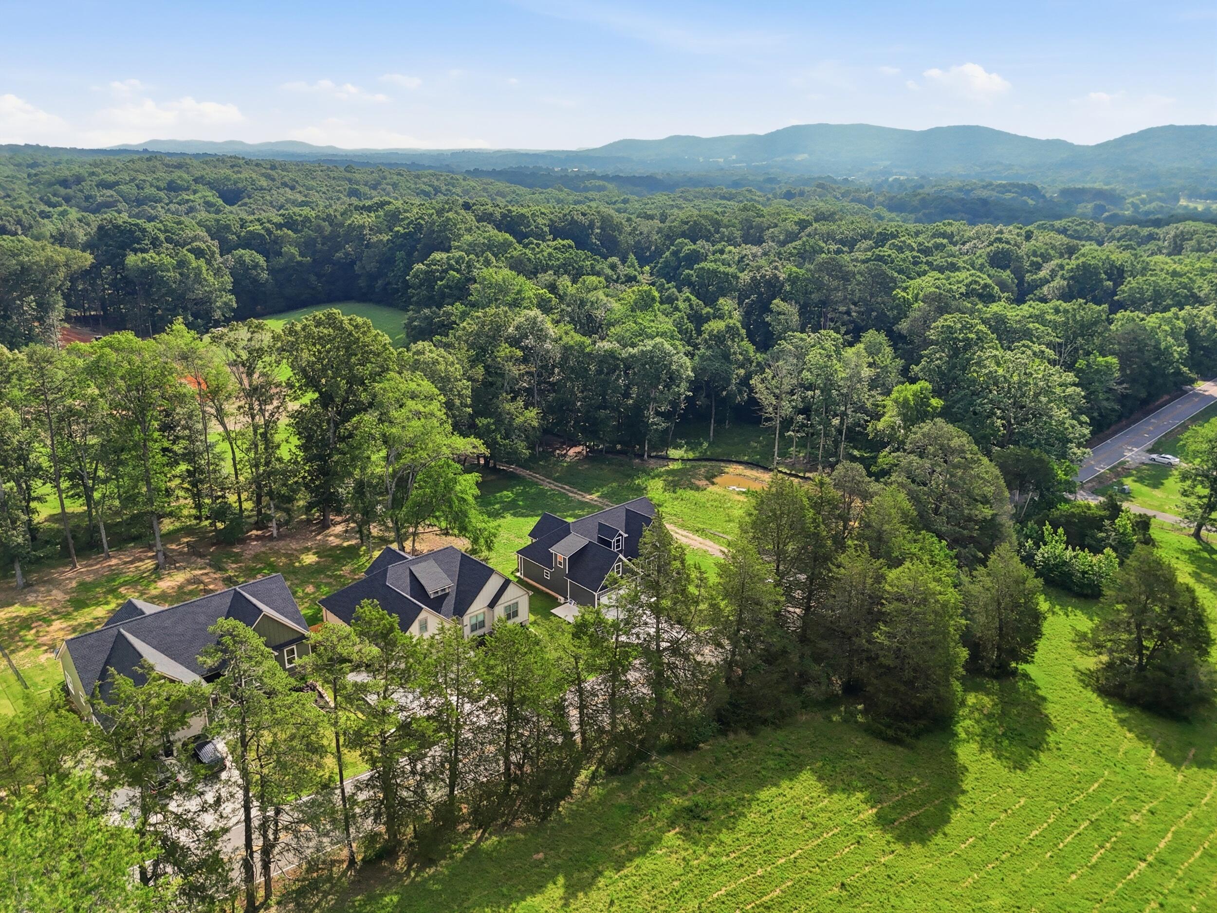 7395 Gamble Road Georgetown, TN 37336 - Photo 31 of 31 038_dji_20260610212921_0702_d