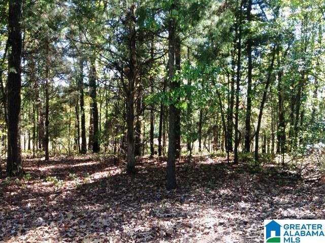 0 Whispering Pines Road, Unit 1 AMD 2 Oxford, AL 36203 - Photo 22 of 30