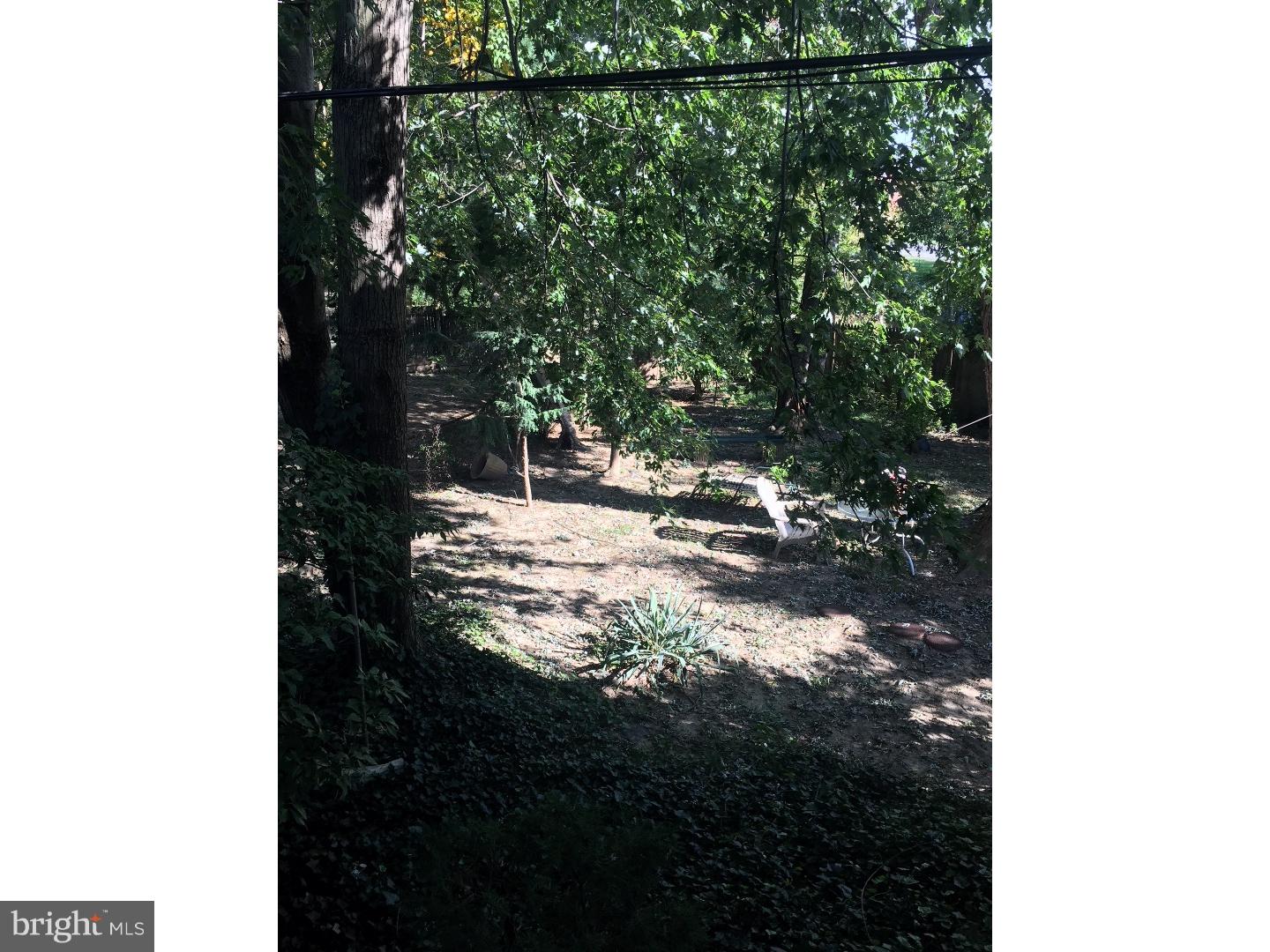 12311 Rambler Road Philadelphia, PA 19154 - Photo 5 of 6