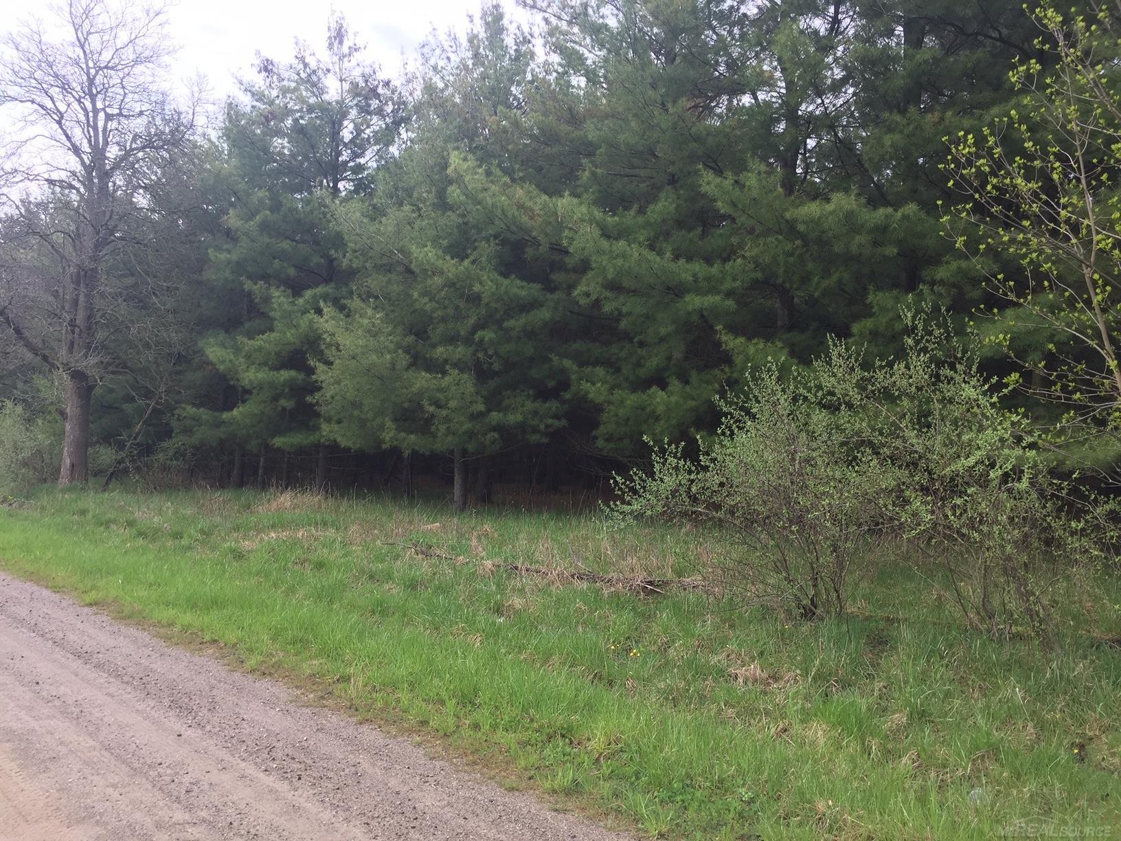 217 North Church Road Carsonville, MI 48419 - Photo 14 of 15 Gallery Image 14