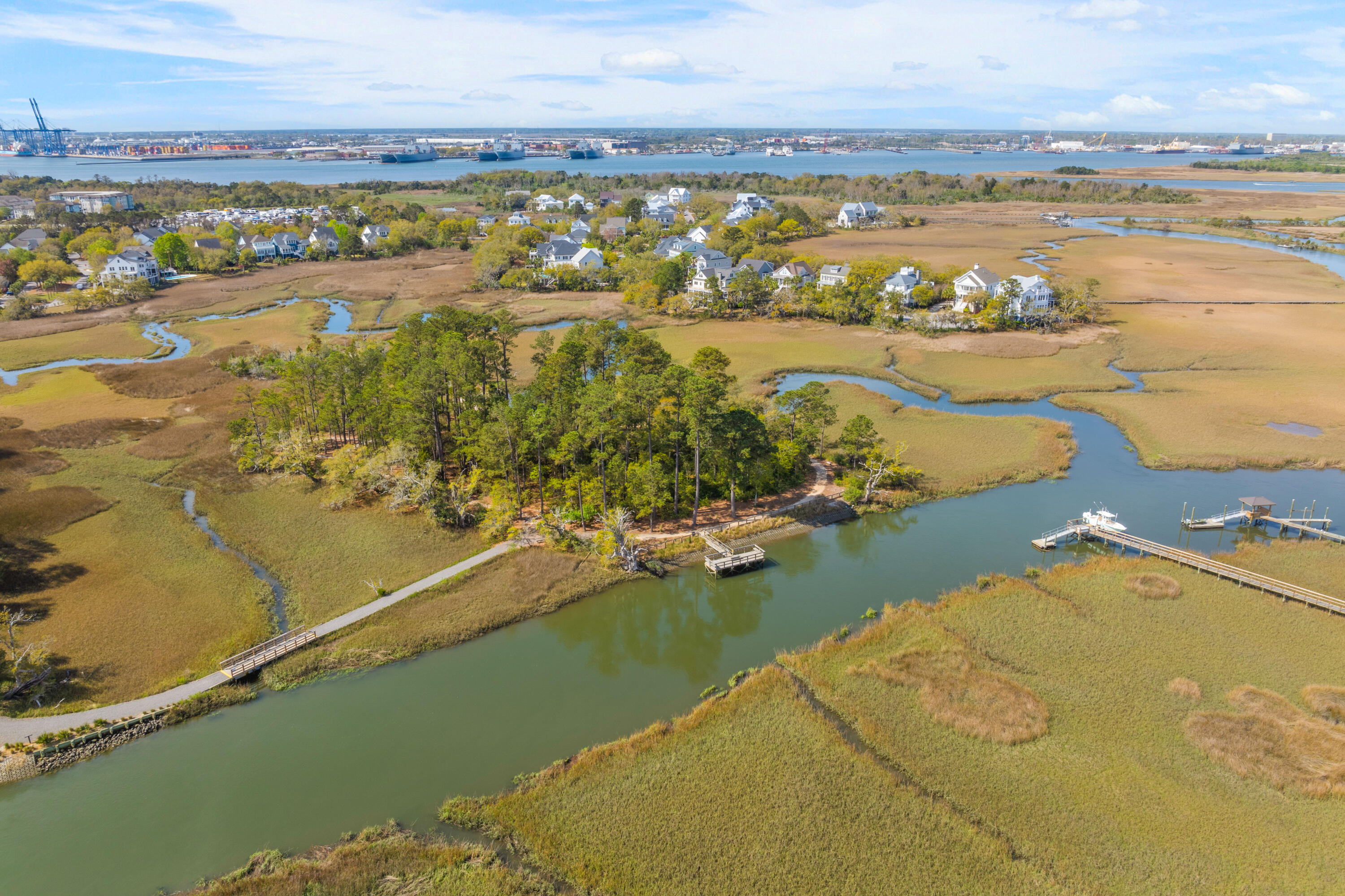 186 Cartright Street Daniel Island, SC 29492 - Photo 40 of 56 walking distance to boat ramp