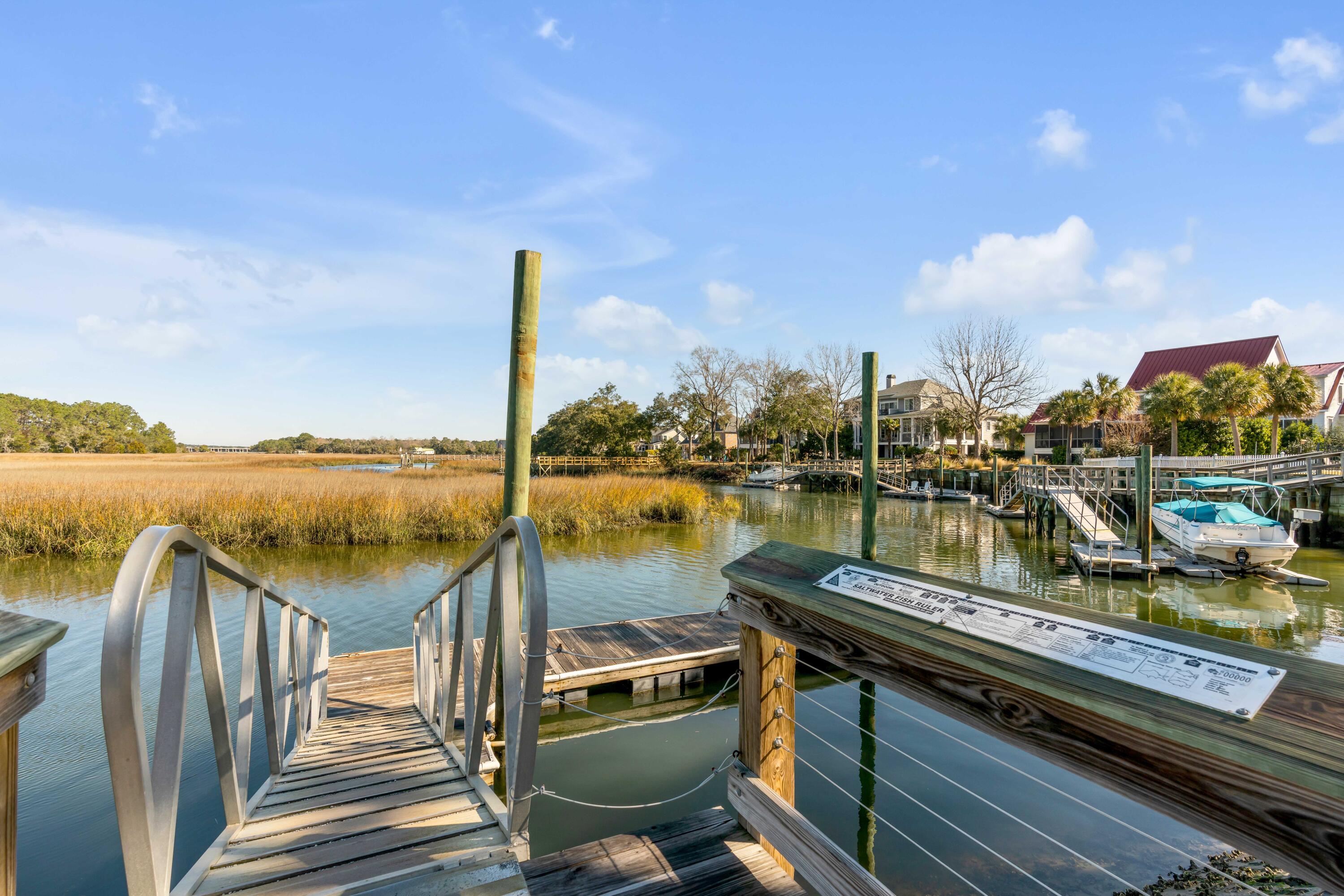 186 Cartright Street Daniel Island, SC 29492 - Photo 42 of 56 boat ramp