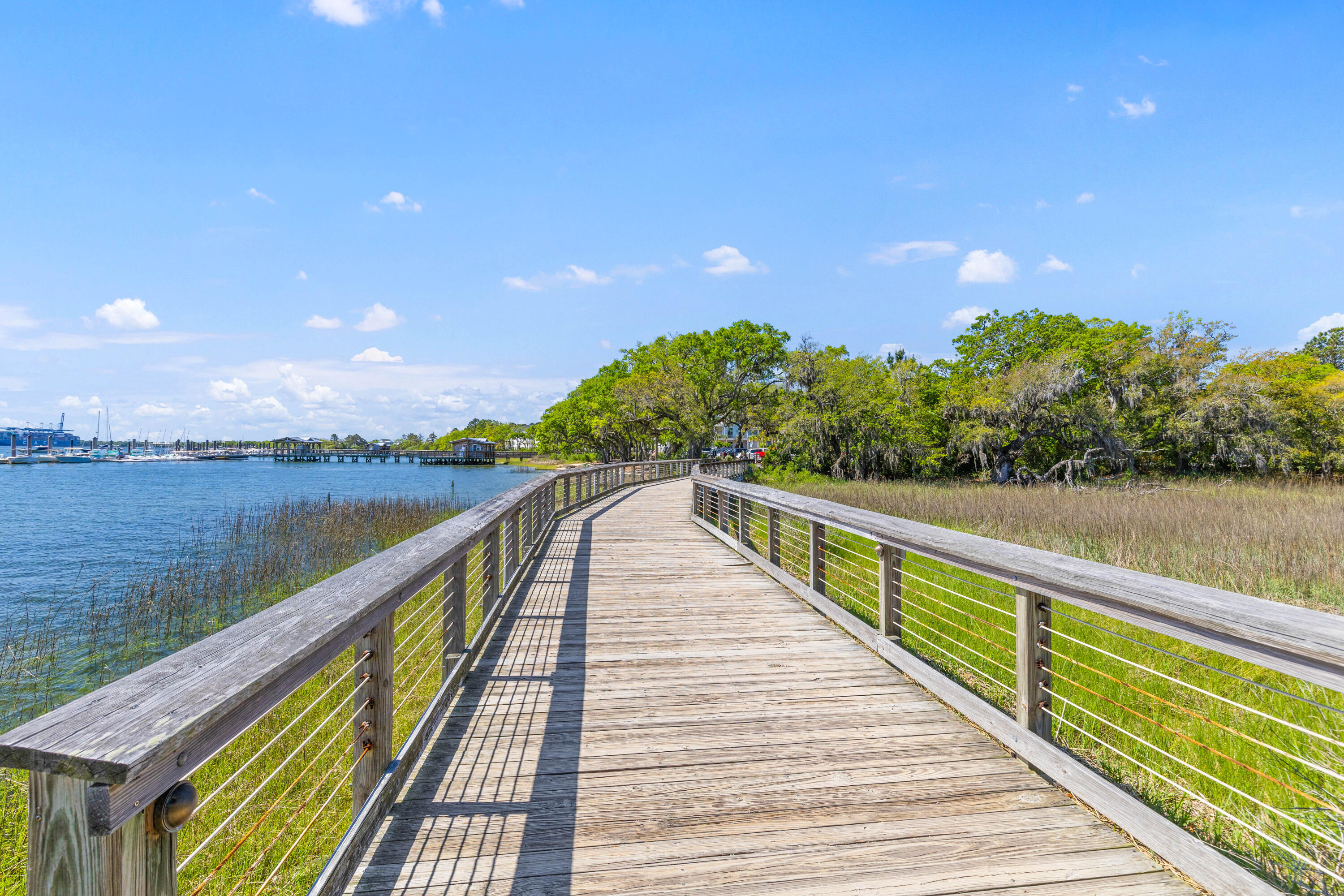 186 Cartright Street Daniel Island, SC 29492 - Photo 47 of 56 walking trails
